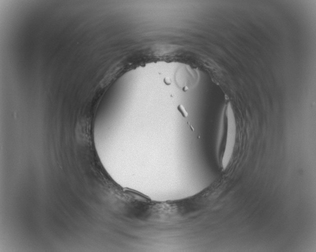 X0000064040421200602101429