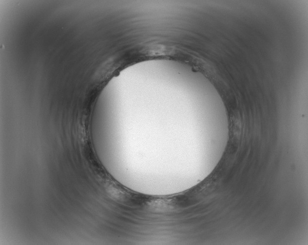 X0000064040422200602101429