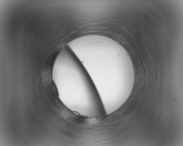 X0000064040425200602101429