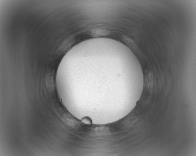 X0000064040426200602101429