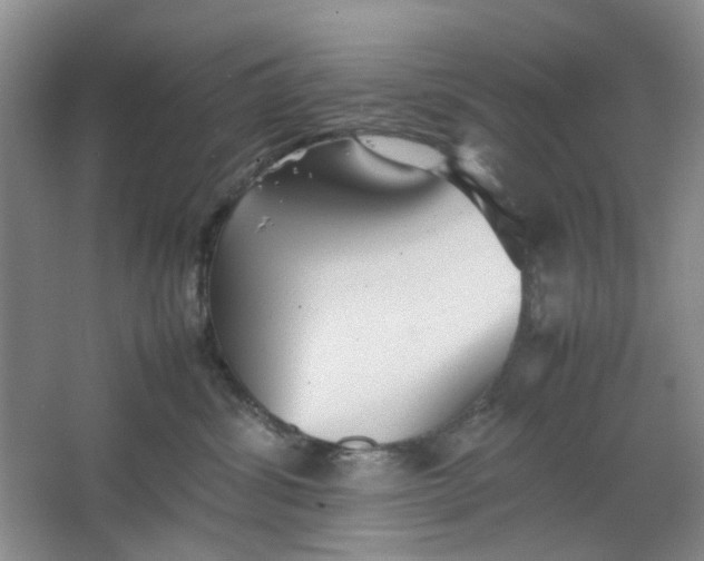 X0000064040428200602101429