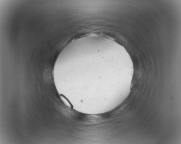 X0000064040429200602101429