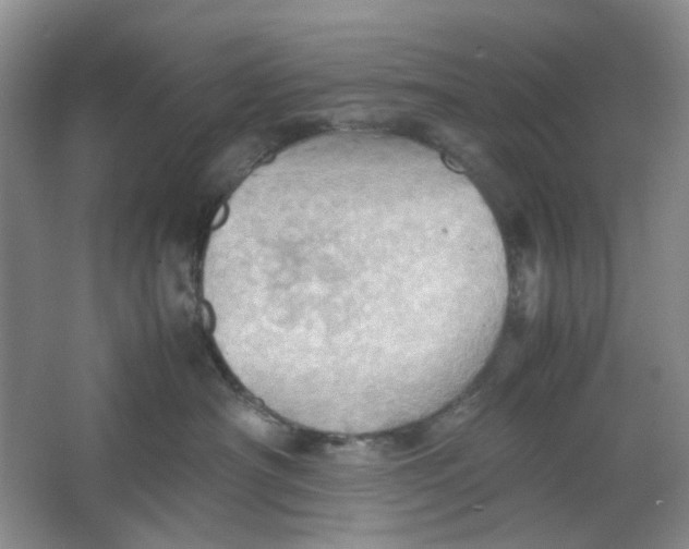 X0000064040430200602101429