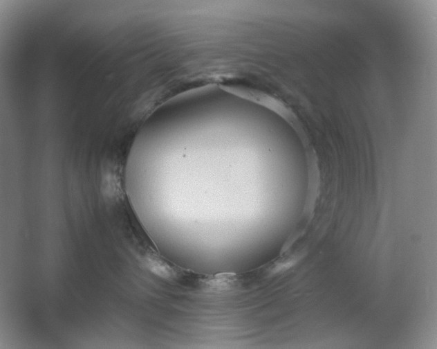 X0000064040432200602101429