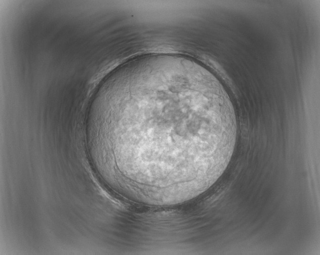 X0000064040433200602101428