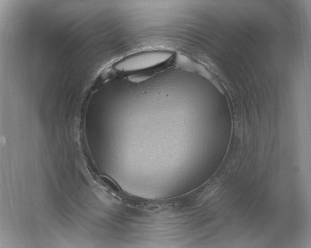 X0000064040434200602101428