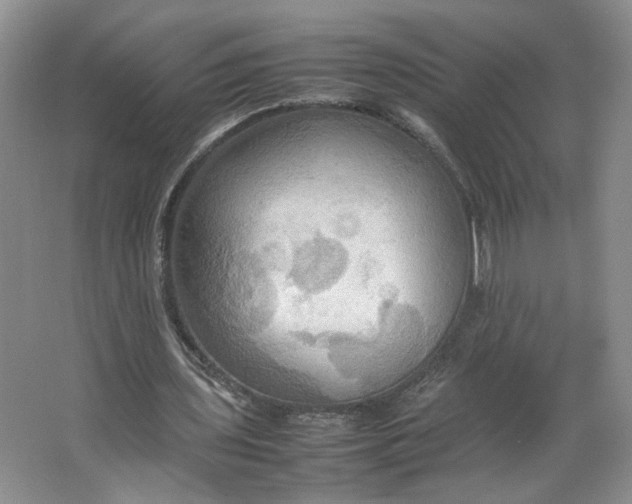 X0000064040435200602101428