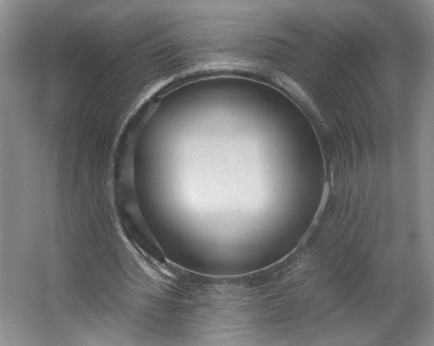 X0000064040436200602101429