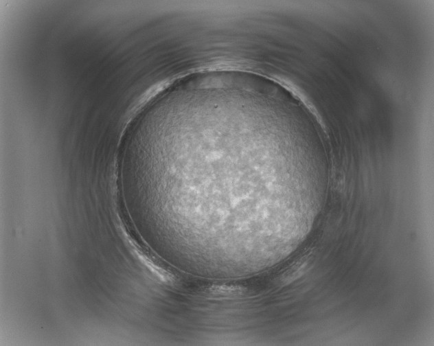 X0000064040437200602101429