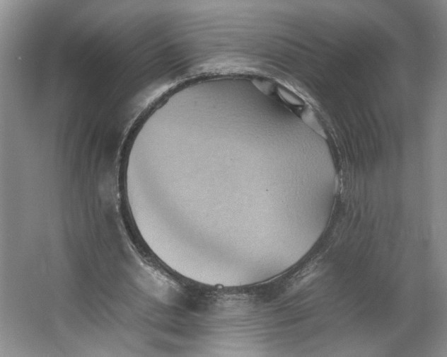 X0000064040438200602101429