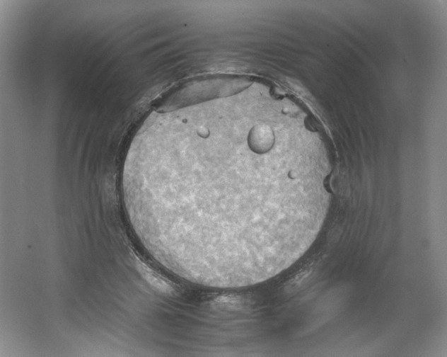 X0000064040441200602101429