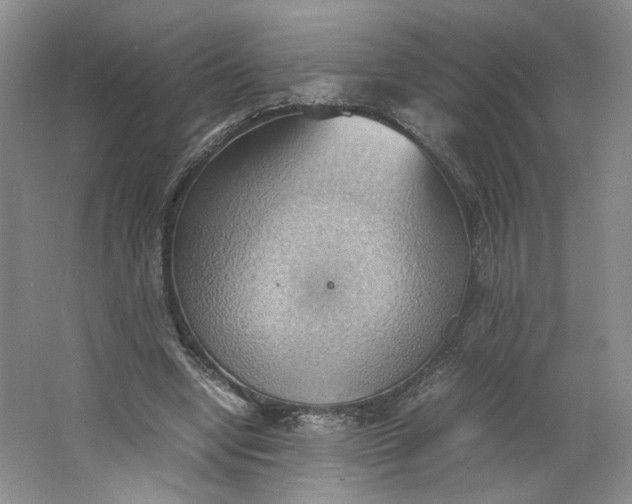 X0000064040442200602101429