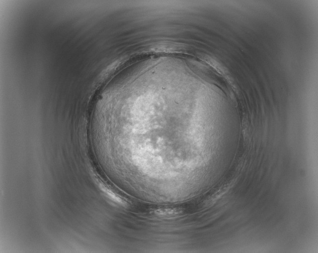 X0000064040445200602101429