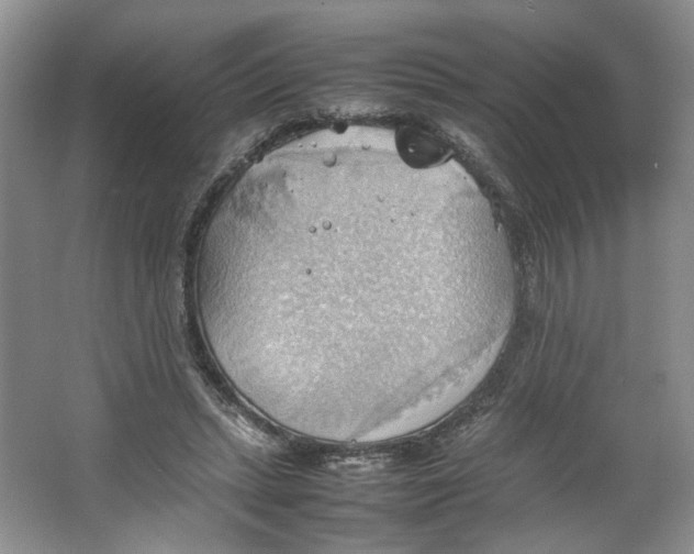 X0000064040447200602101429