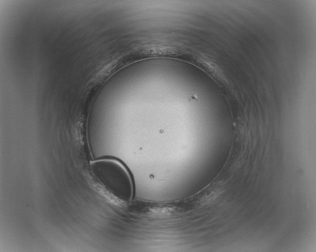 X0000064040450200602101429