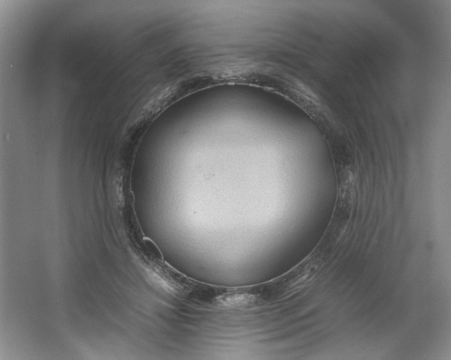 X0000064040452200602101429