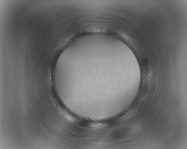 X0000064040453200602101429