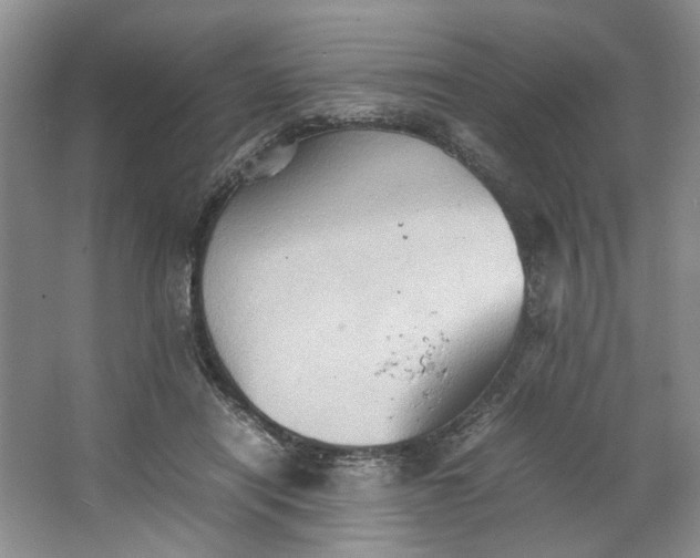 X0000064040454200602101429