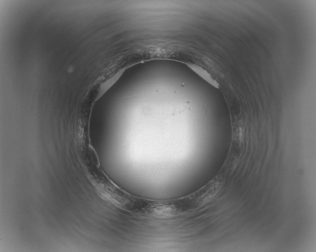 X0000064040456200602101429