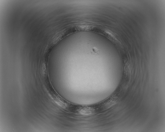 X0000064040459200602101429