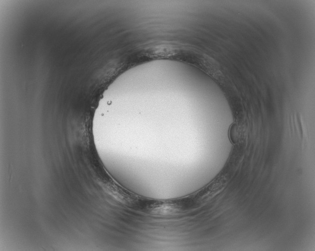 X0000064040460200602101429