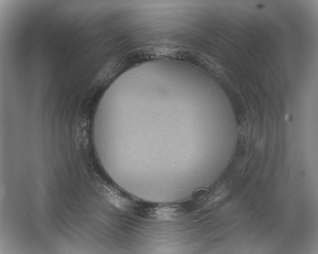 X0000064040462200602101429