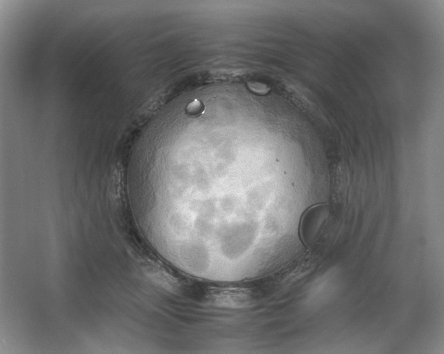 X0000064040463200602101429