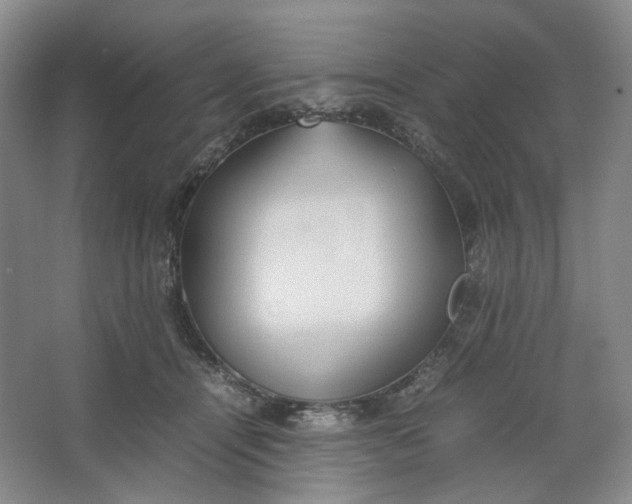 X0000064040464200602101429