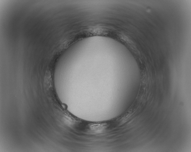 X0000064040465200602101429