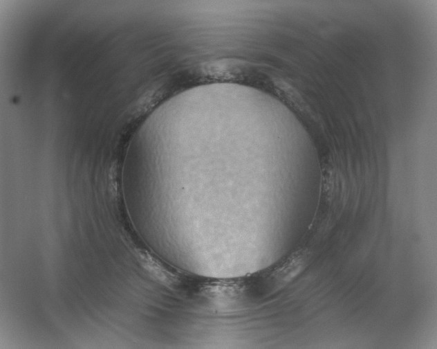 X0000064040466200602101429