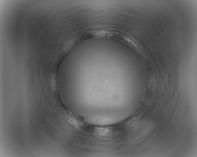 X0000064040469200602101429