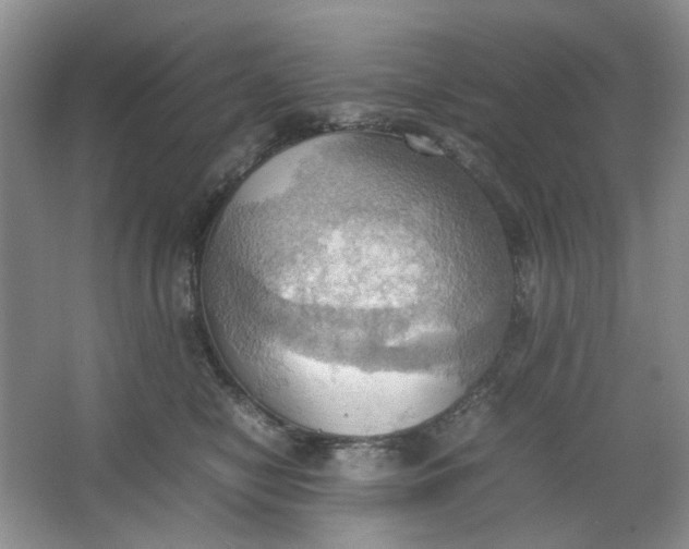 X0000064040470200602101429