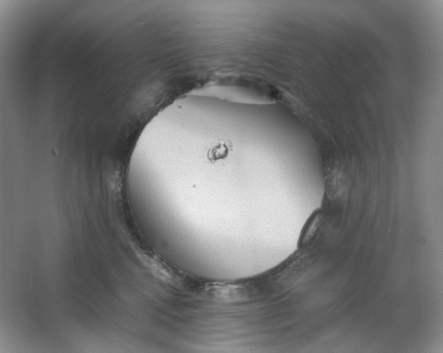 X0000064040472200602101429