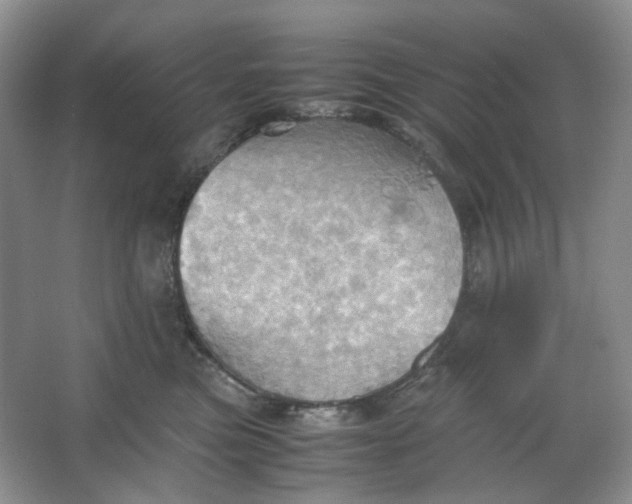 X0000064040473200602101429