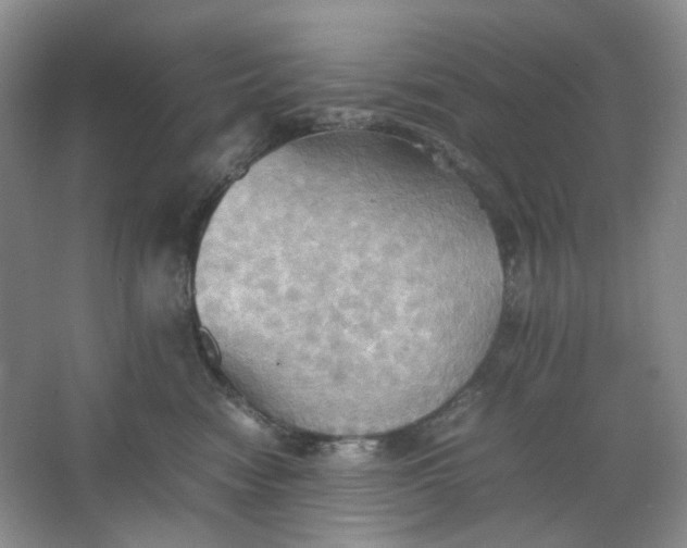 X0000064040474200602101429