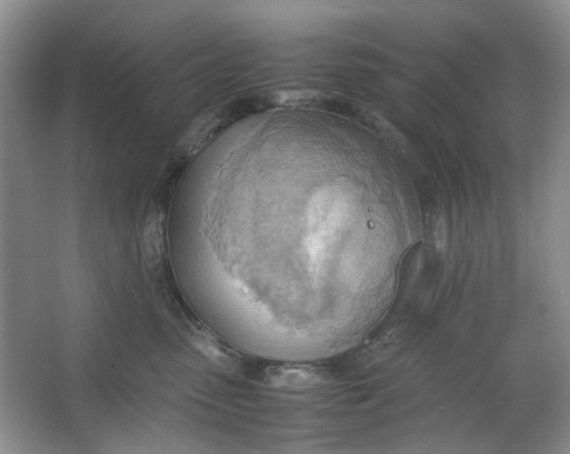 X0000064040475200602101429