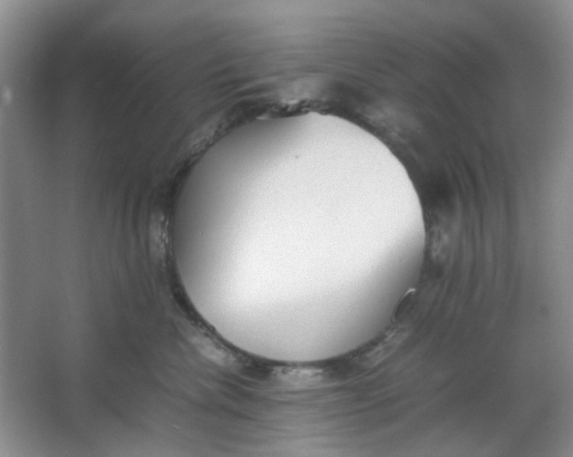 X0000064040476200602101429