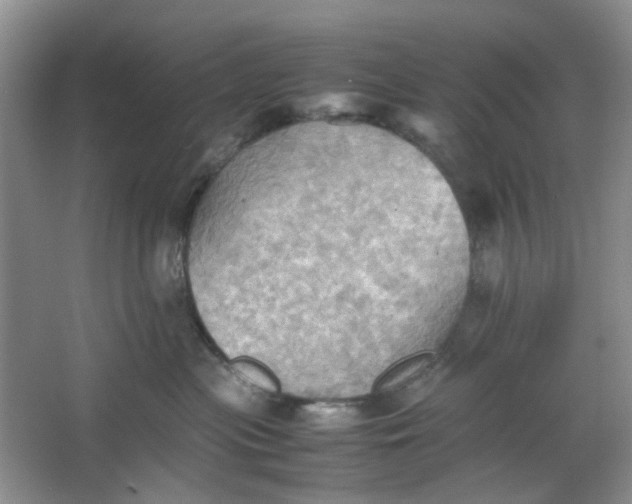 X0000064040477200602101429