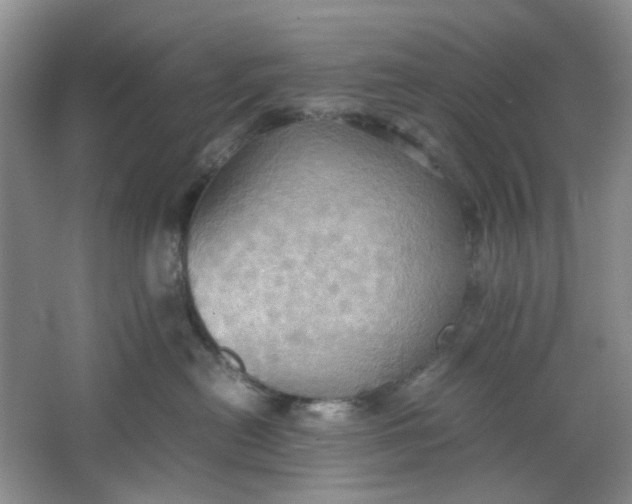 X0000064040478200602101429