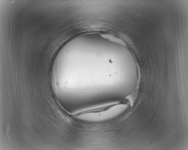 X0000064040481200602101428