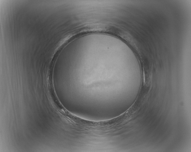 X0000064040483200602101428