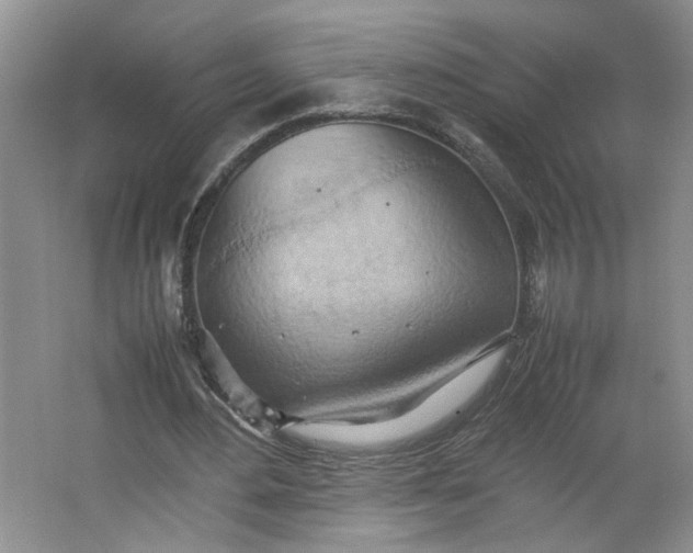 X0000064040484200602101428