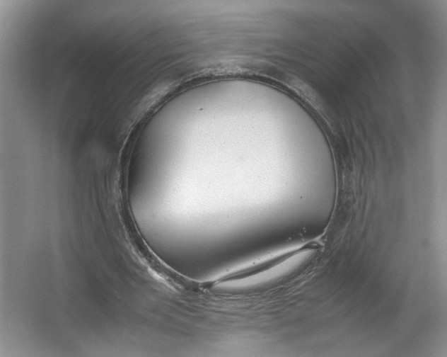 X0000064040485200602101428