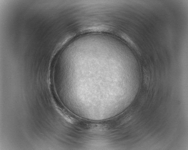 X0000064040486200602101428