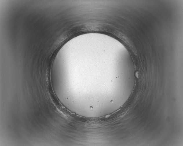 X0000064040489200602101428