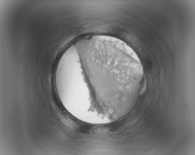 X0000064040491200602101428