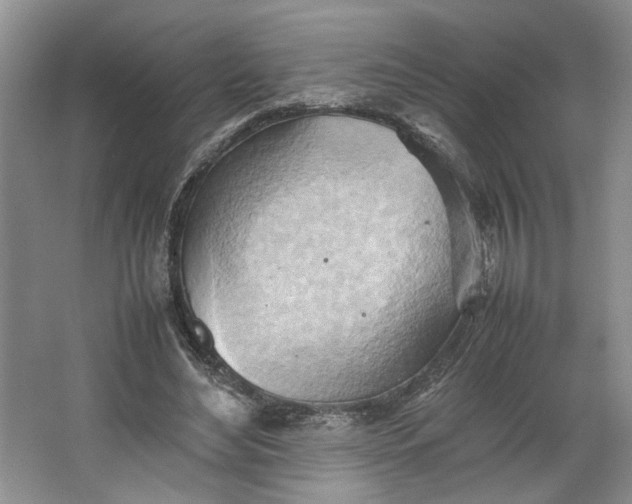 X0000064040492200602101428