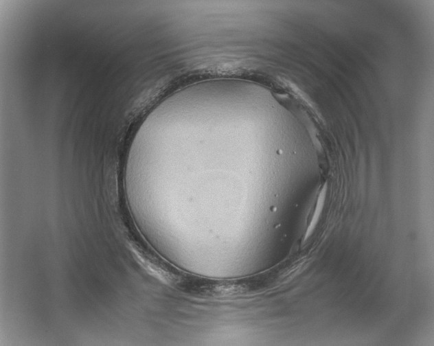 X0000064040493200602101428