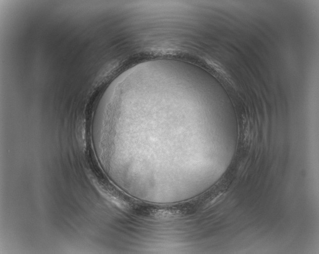 X0000064040494200602101428