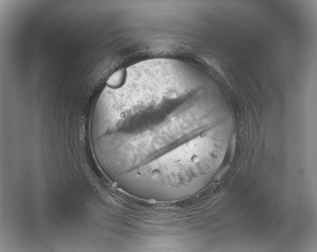 X0000064040495200602101428